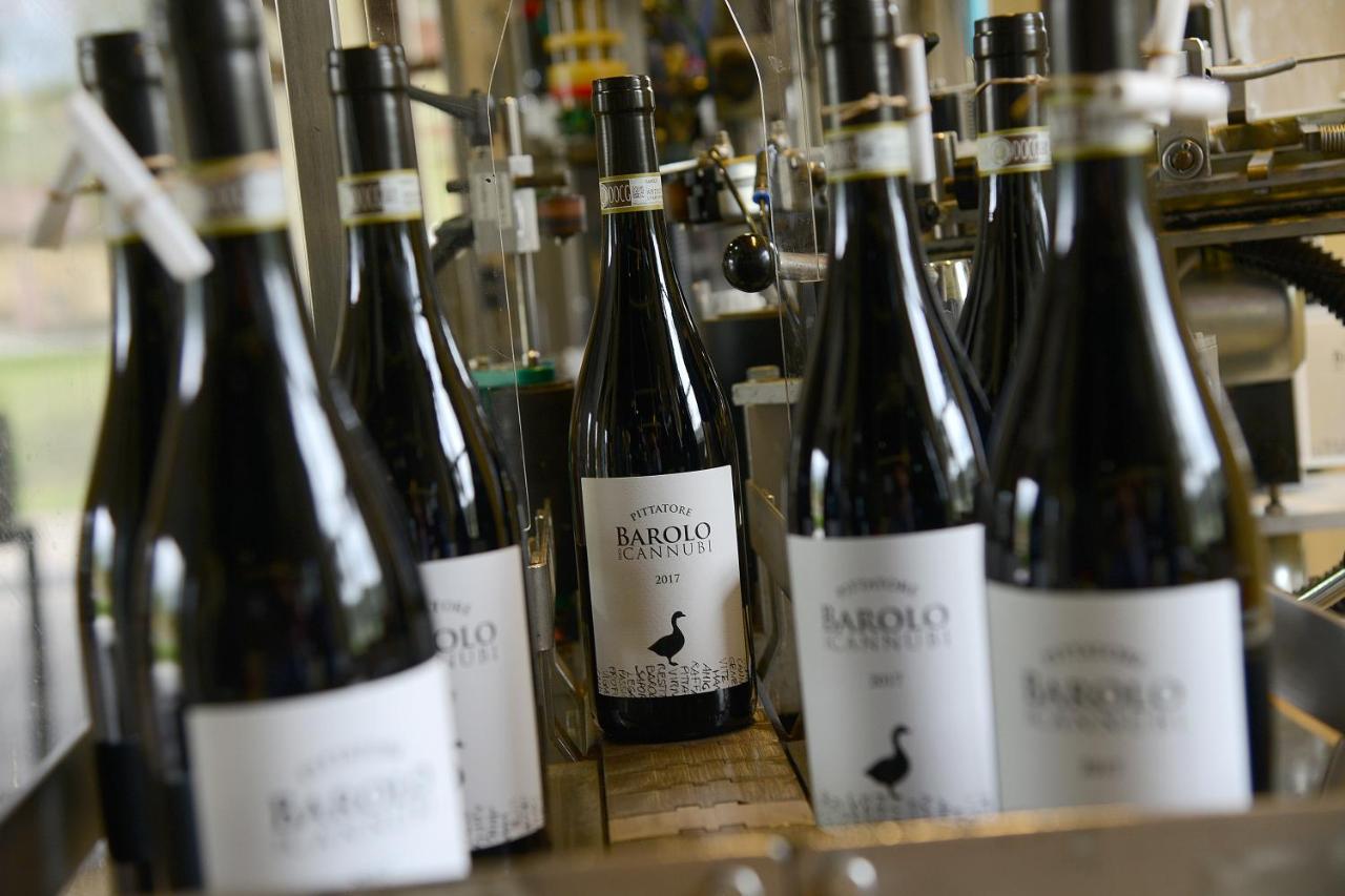 Agriturismo Il Gioco Dell'Oca Barolo Dış mekan fotoğraf