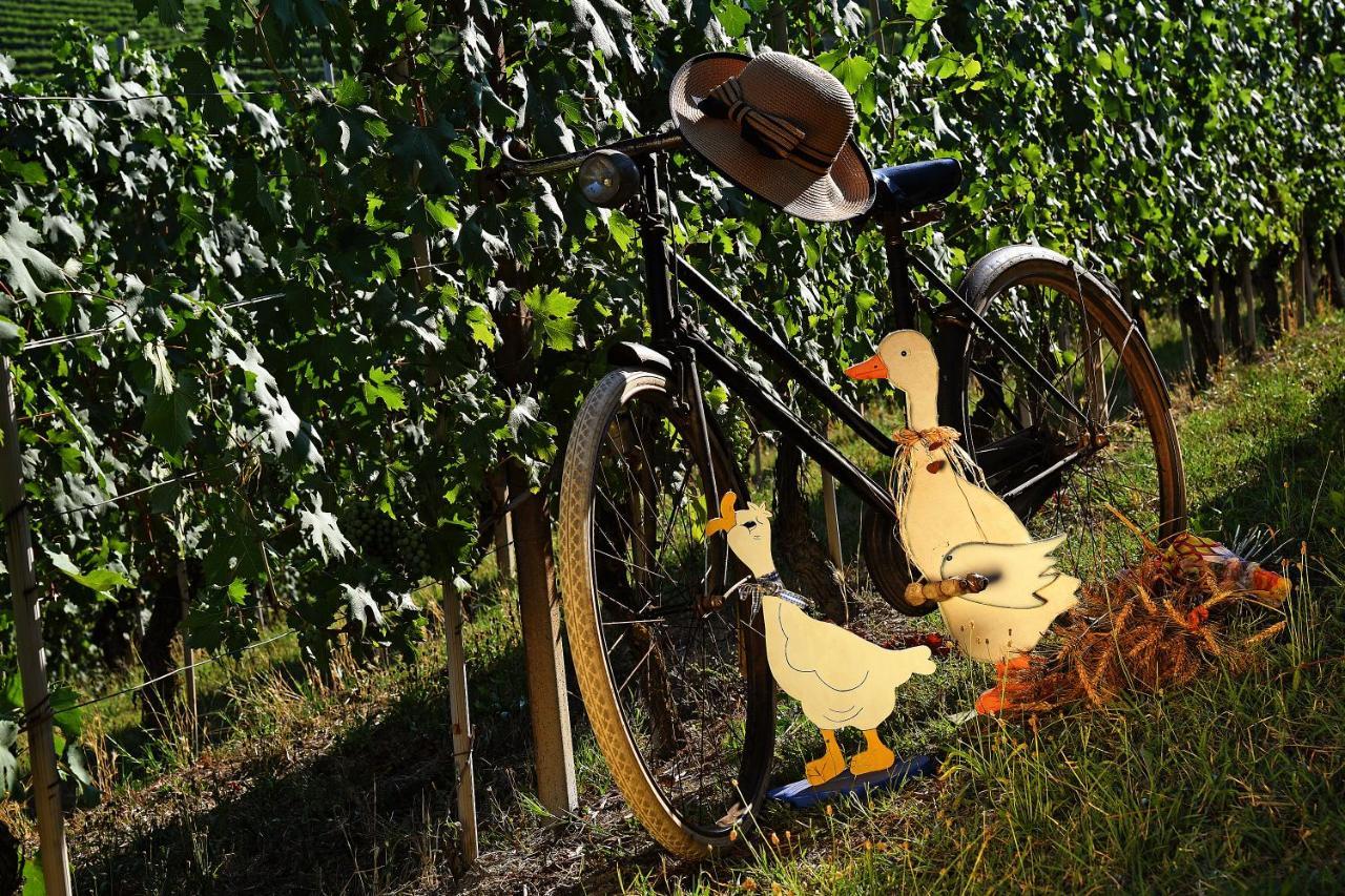 Agriturismo Il Gioco Dell'Oca Barolo Dış mekan fotoğraf