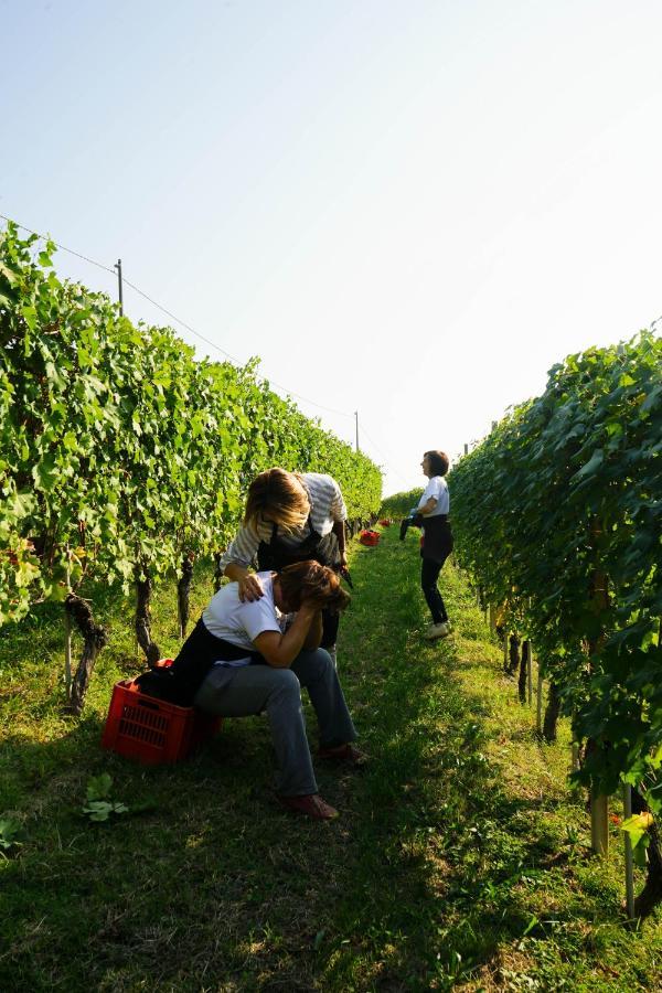 Agriturismo Il Gioco Dell'Oca Barolo Dış mekan fotoğraf