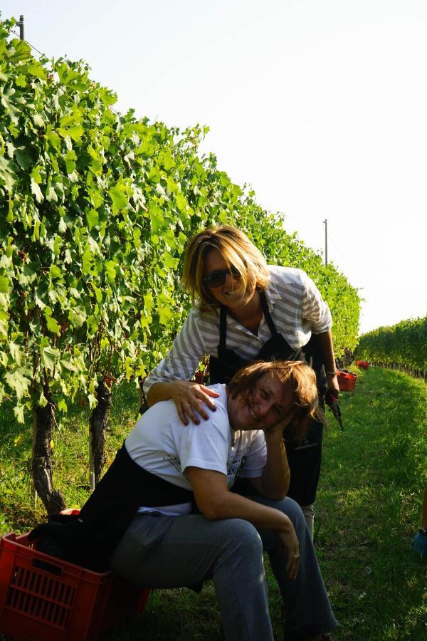 Agriturismo Il Gioco Dell'Oca Barolo Dış mekan fotoğraf